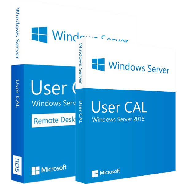 Microsoft RDS 2022 User CAL + User licence