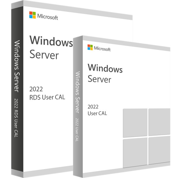 Microsoft RDS 2022 User CAL + User licence